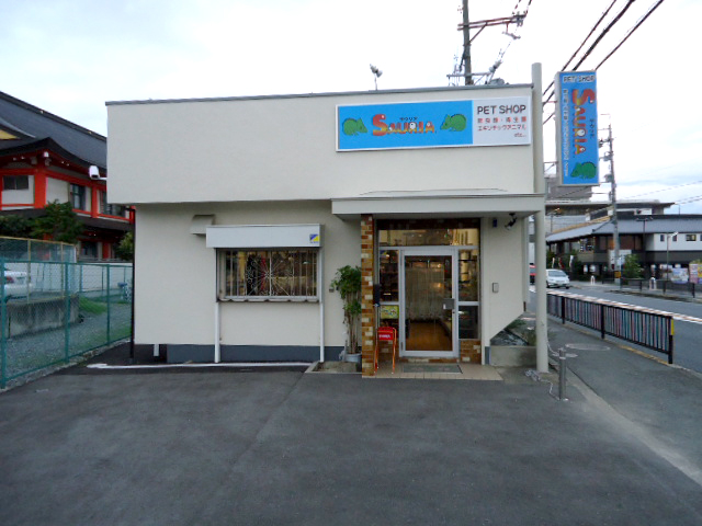 爬虫類専門店 サウリア大阪大東店